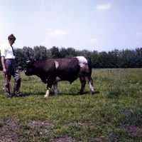 asc00809
